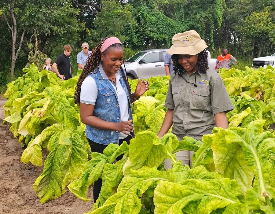Field officers meeting tobacco growers