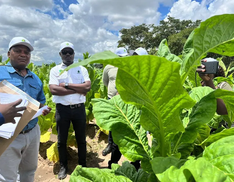 TBZ field visit team