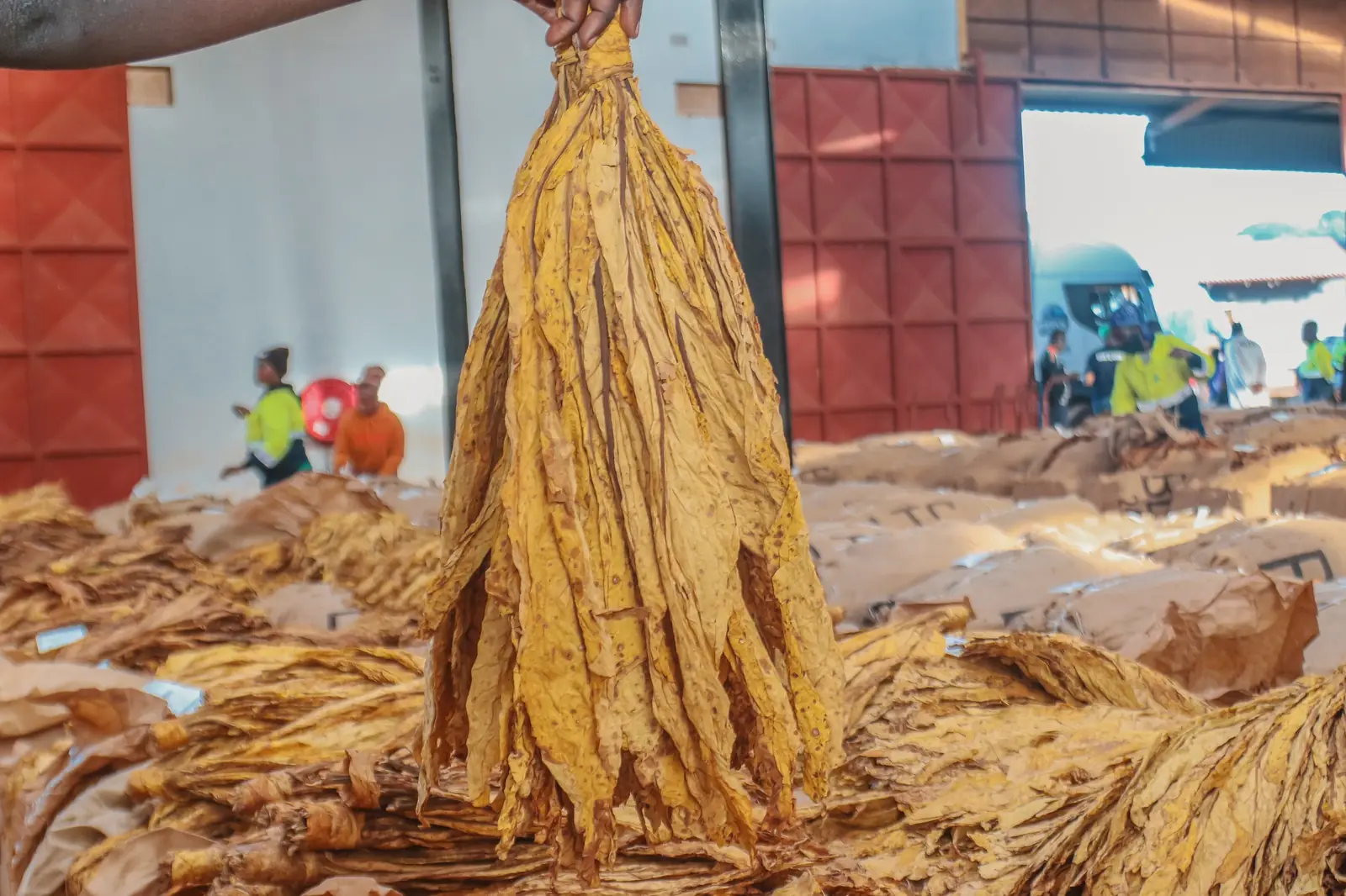 Agricultural sector development